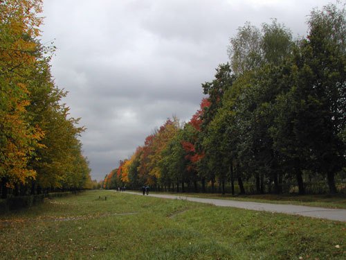 � ���� ������ XXVI "KM"
